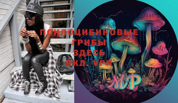 молекула духа Кинешма