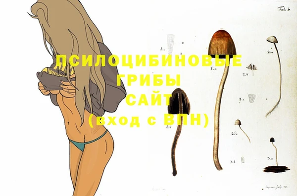 метадон Киреевск