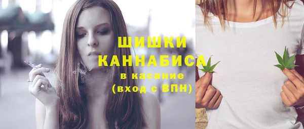 молекула духа Кинешма
