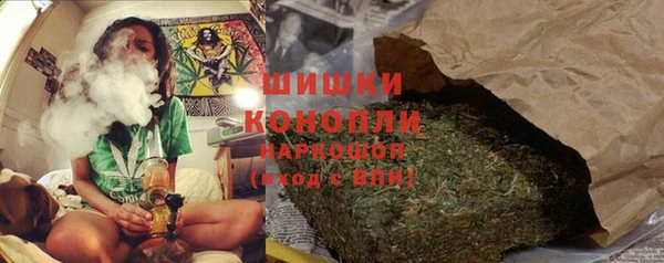 молекула духа Кинешма