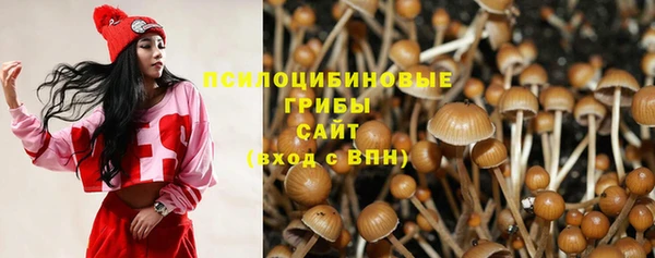 молекула духа Кинешма