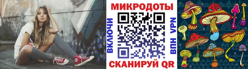 Купить где  Ак-Довурак  Галлюциногенные грибы Psilocybe 